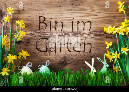 Wooden Background With German Text Bin Im Garten Means I Am In The Garden. Easter Decoration Like Easter Eggs And Easter Bunny. Yellow Spring Flower Narcisssus With Gras. Card For Seasons Greetings Stock Photo