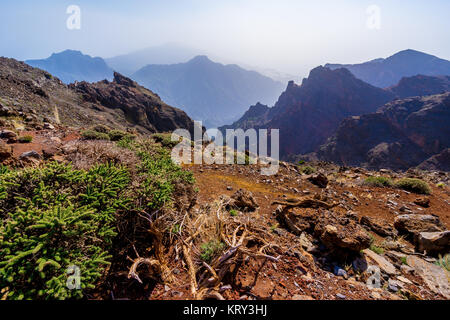 Â roque de los muchachos