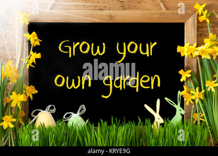 Blackboard With English Text Grow Your Own Garden. Sunny Spring Flowers Nacissus Or Daffodil With Grass, Easter Egg And Bunny. Rustic Aged Wooden Background. Stock Photo