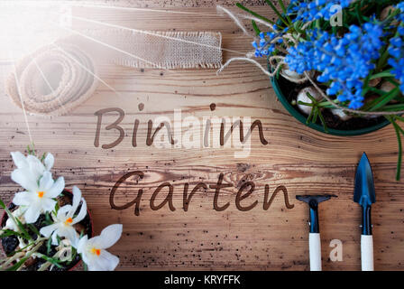 German Text Bin Im Garten Means I Am In The Garden. Sunny Spring Flowers Like Grape Hyacinth And Crocus. Gardening Tools Like Rake And Shovel. Hemp Fabric Ribbon. Aged Wooden Background Stock Photo