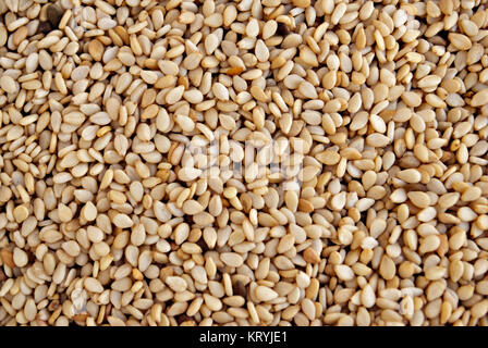 Sesame seed is considered to be the oldest oilseed crop known to humanity Stock Photo