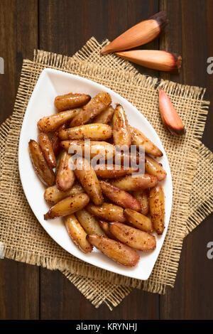 Fried Spicy Pine Nuts of the Chilean Pine Tree Stock Photo