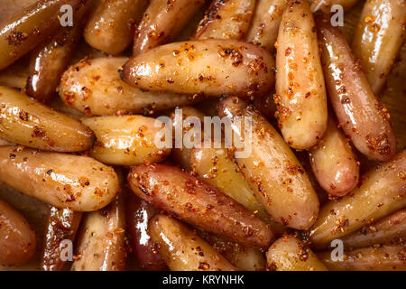 Fried Spicy Pine Nuts of the Chilean Pine Tree Stock Photo