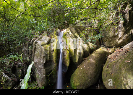 Small waterfall in Masoala national park, Madagascar Stock Photo