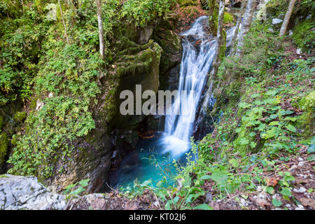 Mountain creek autumn in the Lepena valley Stock Photo