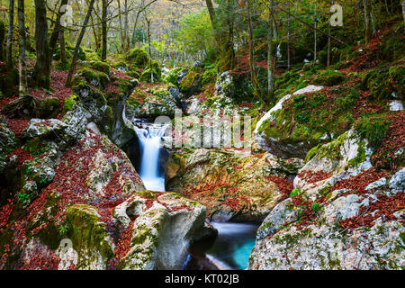 Mountain creek autumn in the Lepena valley Stock Photo