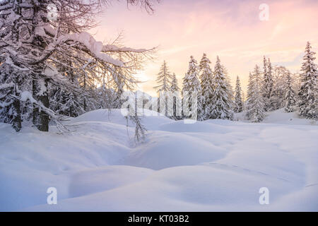 Winter landscape near Vogel ski center Stock Photo