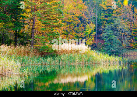 Autum forest lake Kozjak in Plitvice Stock Photo