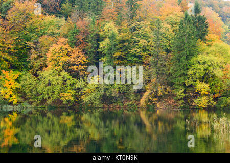 Autum forest lake Kozjak in Plitvice National Park Stock Photo