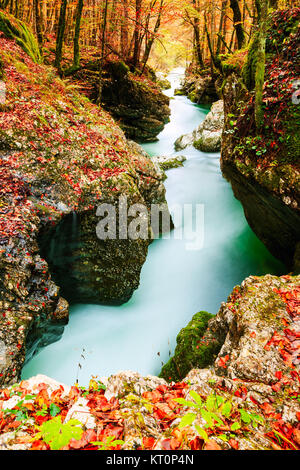 Canyon Mostnica near lake Bohinj in Slovenia Stock Photo