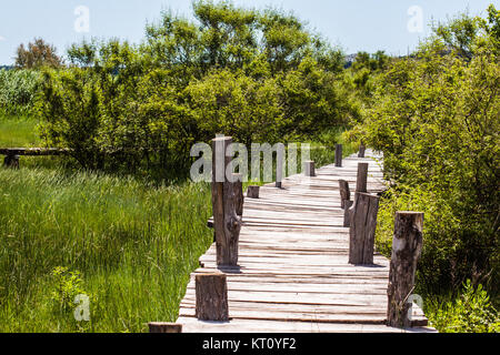 Vrana Lake - ornithological reserve Stock Photo