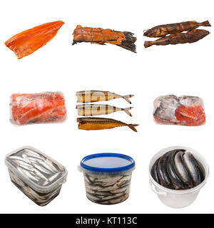 set of a different preserved fish Stock Photo