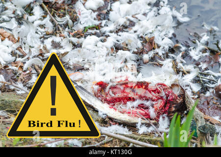 symbolic general prevention against avian flu virus Stock Photo