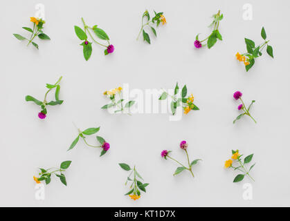 Floral pattern with pink clover and yellow wildflowers on white background. Flat lay, top view. Stock Photo