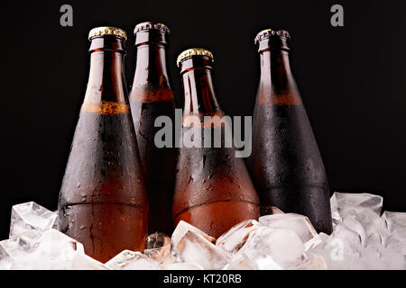 Bottles of beer in ice cubes Stock Photo