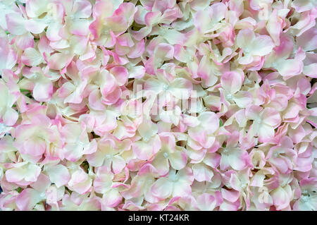 Colorful fabric flowers background pattern lovely style. Stock Photo