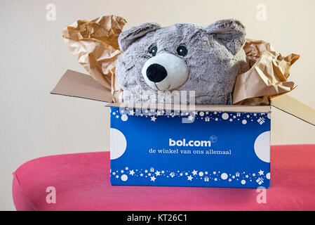 Cuddly bear / teddy bear present in open cardboard box bought at bol.com, leading webshop in the Netherlands for books, toys and electronics Stock Photo