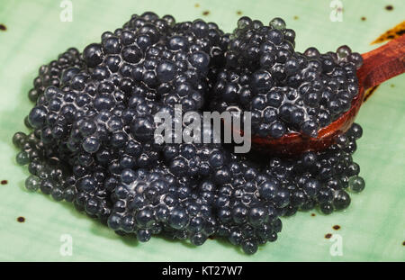 black caviar of halibut in spoon on green plate Stock Photo