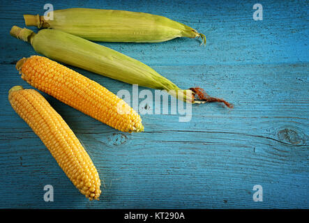 Fresh corn cobs on blue wooden surface. Top view. Free space for text. Stock Photo