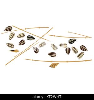Whole sunflower seeds isolated Stock Vector