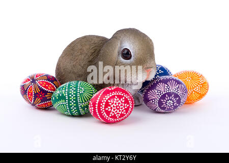 Easter bunny sitting in a bunch of Easter eggs. Stock Photo