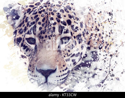 Leopard Portrait Watercolor Stock Photo