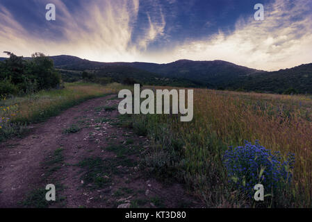 Sunset evening in mountains with bluebells near the road and field Stock Photo