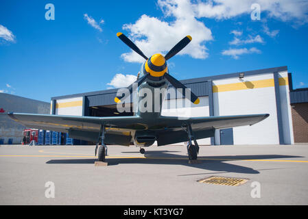 Front view of yellow single engine propeller airplane on the ground