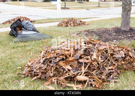 Neat raked pile of dried brown fall leaves or foliage on a mowed lawn in a neighbourhood garden with a rake visible behind on the grass Stock Photo