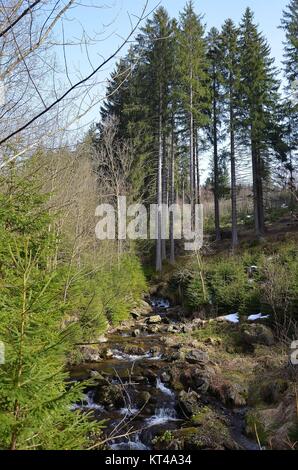 The village of Železná Ruda (Markt Eisenstein), Czech Republic, at the border to Bavaria: Nature in the Sumava (Böhmerwald) Stock Photo