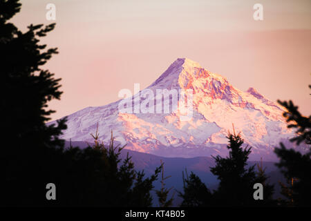 Glowing Alpine Mountain in Evening Light Seen Form the Trees Stock Photo