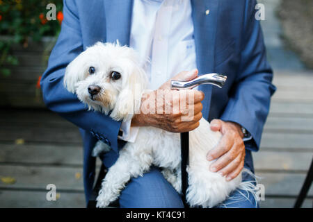 Old man carrying funny dog in his arms. Stock Photo