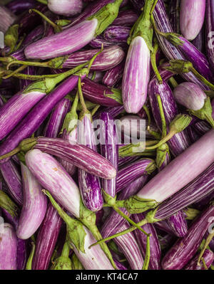 Closeup of Eggplants on vegetable market in Kandy, Sri Lanka. Stock Photo