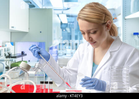 Young European female scientist or tech in white coat and blue gloves works with cultured cells Stock Photo