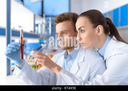 side view of concentrated scientists examining laboratory tube Stock Photo