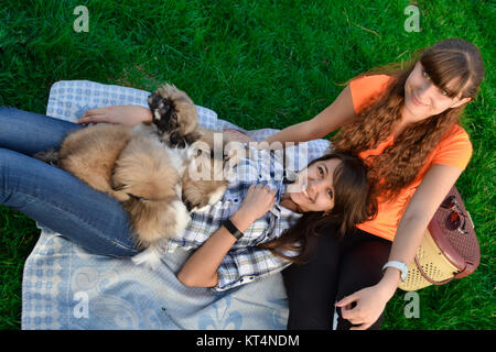 Outdoor portrait of two cute girls hugging with ginger cat and puppy of Chinese Shar Pei dog on green grass. Ywo happy smiling cheerful girl play with small fluffy Pekinese puppy outdoors in dog park Stock Photo