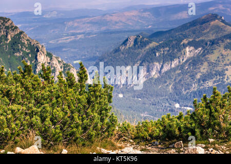 View of Tatra Mountains from hiking trail. Poland. Europe. Stock Photo