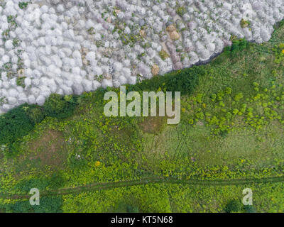 View landfill bird's-eye view. Landfill for waste storage. View from above. Stock Photo