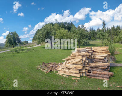 engineered wood on a meadow in a rural landscape Stock Photo
