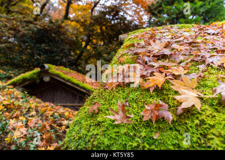 Traditional Japanese temple Stock Photo