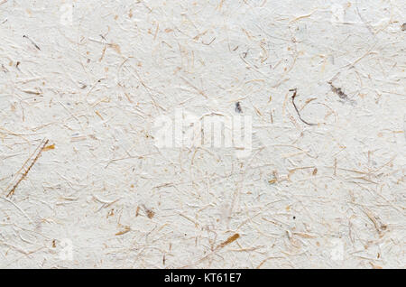 Mulberry paper with dried grass texture background Stock Photo