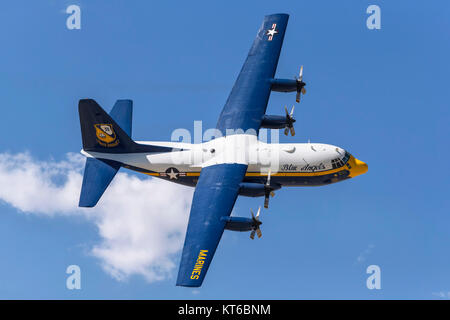 Blue Angels Stock Photo