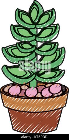 succulent  in potted  vector illustration Stock Vector