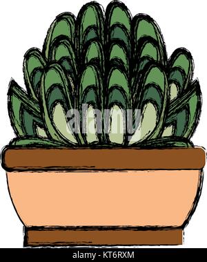 succulent in potted  vector illustration Stock Vector