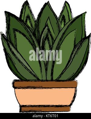 succulent in  potted vector  illusttration Stock Vector