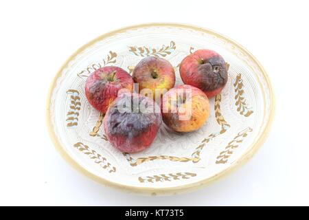 Rotten apple on decorative plate Stock Photo