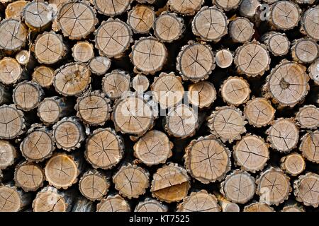 Log wood pile Stock Photo