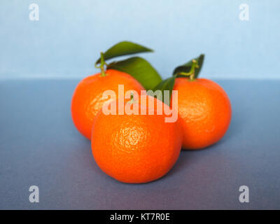 tangerine fruit food Stock Photo