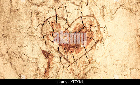 Heart carved in the tree bark Stock Photo