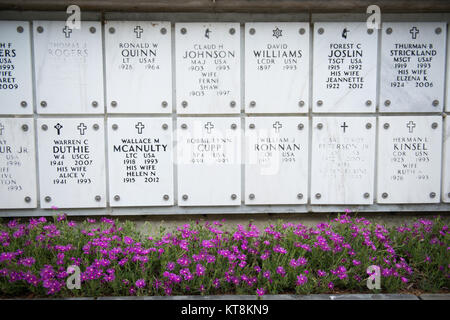 Flowers bloom a flowerbed in the Columbarium in Arlington National Cemetery, June 6, 2015, in Arlington, Va. The cemetery's 624 acres are a unique blend of formal and informal landscapes, dotted with more than 8,600 native and exotic trees. Intimate gardens enhance the beauty and sense of peace. (U.S. Army photo by Rachel Larue/released) Stock Photo